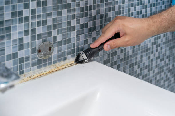 Best Fast Mold Removal  in Westfield, WI